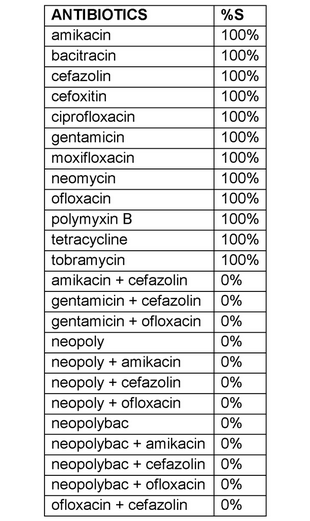 Gram positive rods